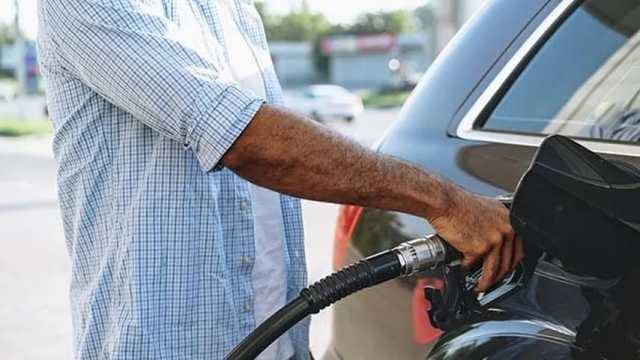 El Gobierno estudia aplicar una rebaja a los impuestos de la gasolina. (Foto: Envato)